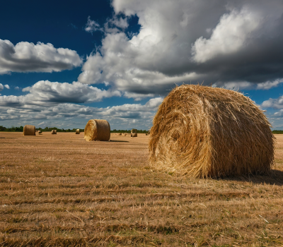 AdobeStock_1373214589 1