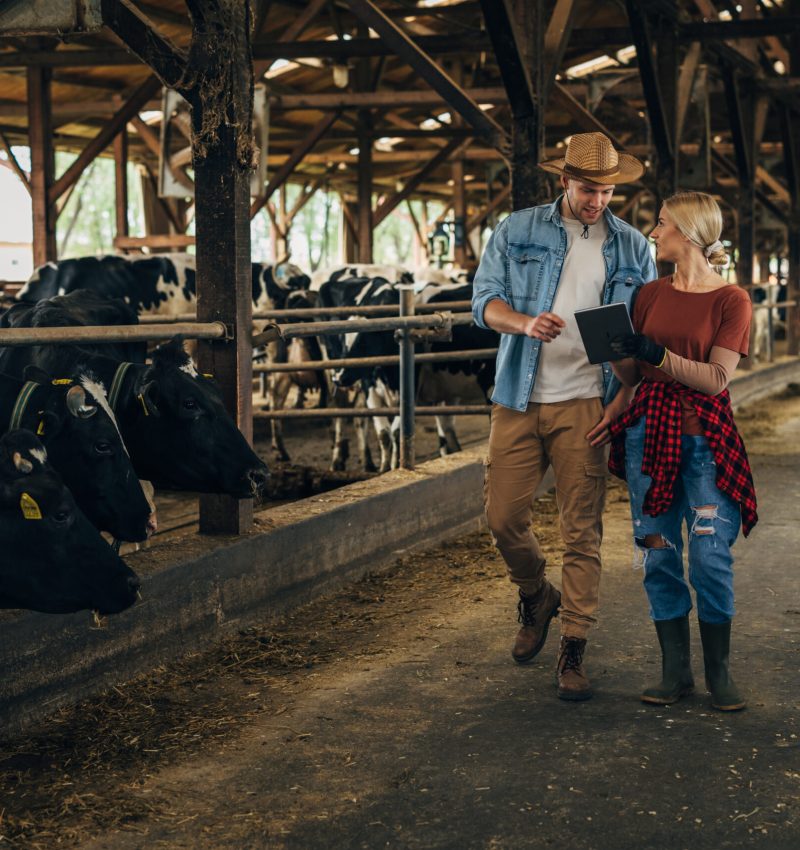 A man and a woman own a family business in agriculture. They are doing inspection together.