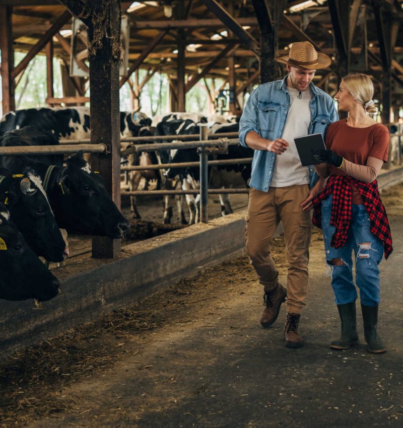 A man and a woman own a family business in agriculture. They are doing inspection together.