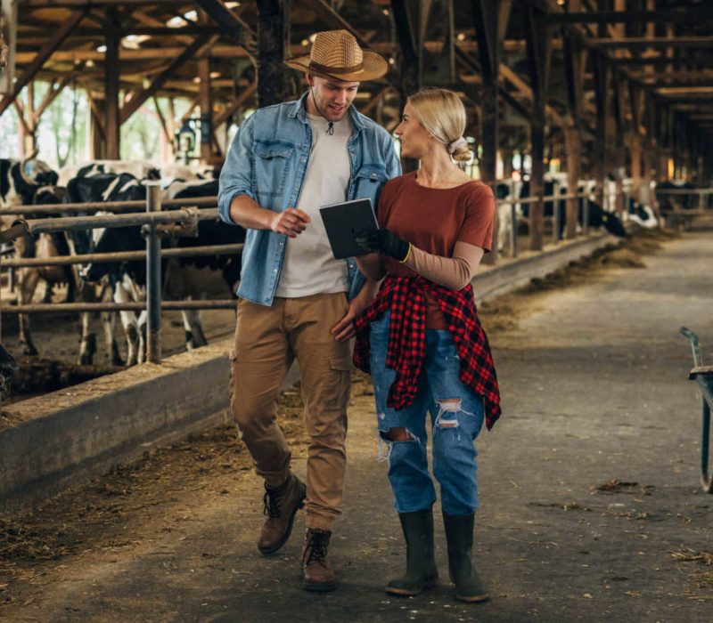 A man and a woman own a family business in agriculture. They are doing inspection together.